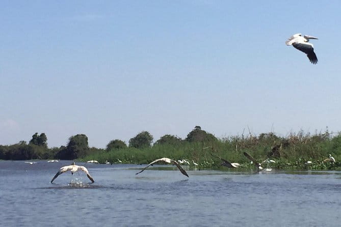 Private Tour Prek Toal Bird Sanctuary Off Beaten Track - Lunch at the floating restaurant