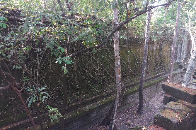Private Tour to Beng Mealea Jungle Temple and Koh Ker - Should you book the Beng Mealea and Koh Ker tour?