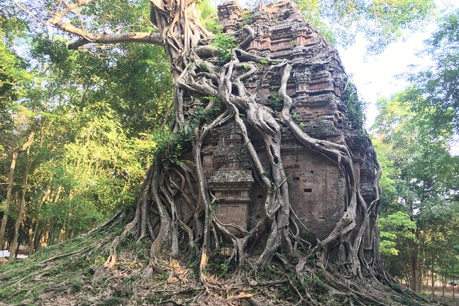 Private Transfer Siem Reap - Phnom Penh with Stop Sightseeing - Skoun and Cambodia’s famous fried spiders