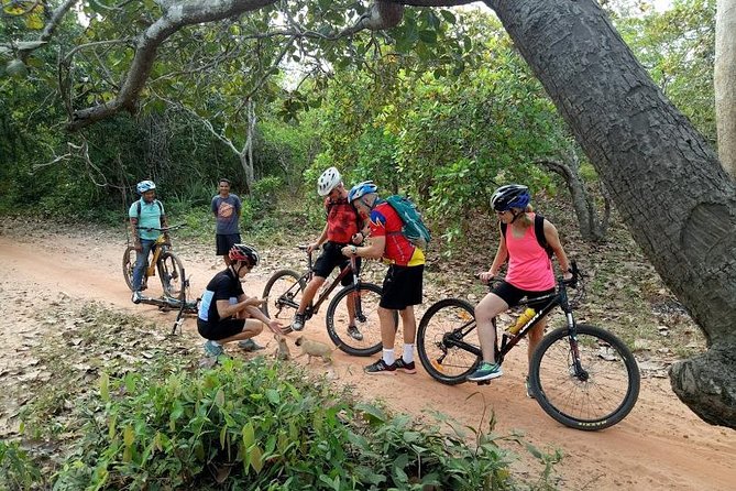 Rice Fields & Rural Villages Tour - Riding dirt tracks through wooden stilt-house villages