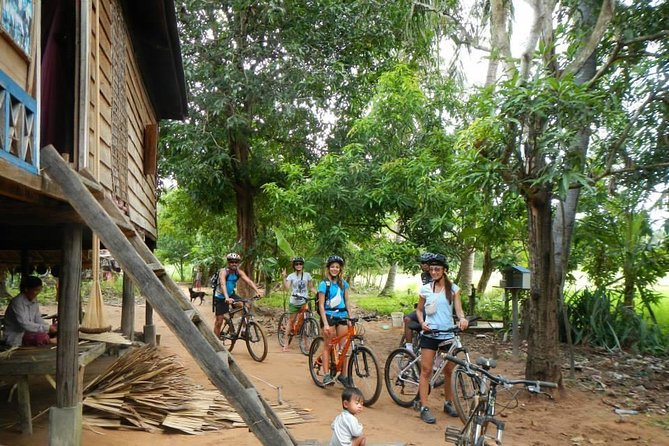Rice Fields & Rural Villages Tour - What the private format means for your group