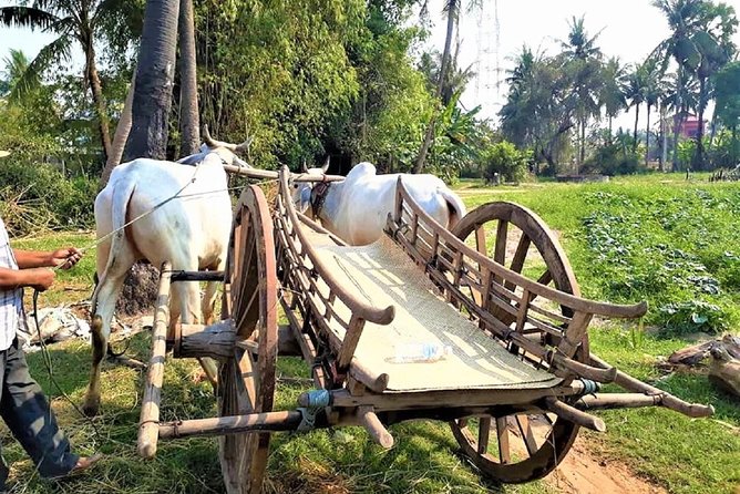Rural Village with Ox Cart Journey & Monk Blessing - Leaving Siem Reap for the Rice Fields