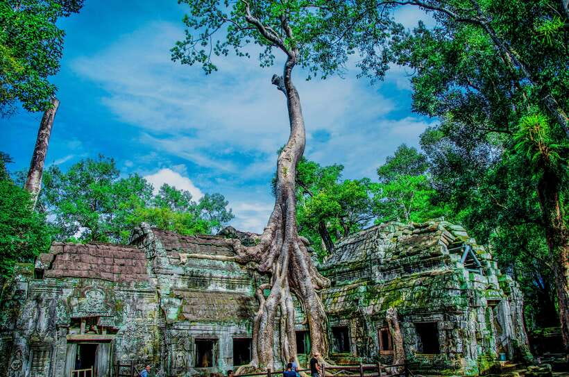 Seat-In-Coach: Small Circuit tour with Sunrise at Angkor Wat - The 4:20 AM start and the road to Angkor Wat