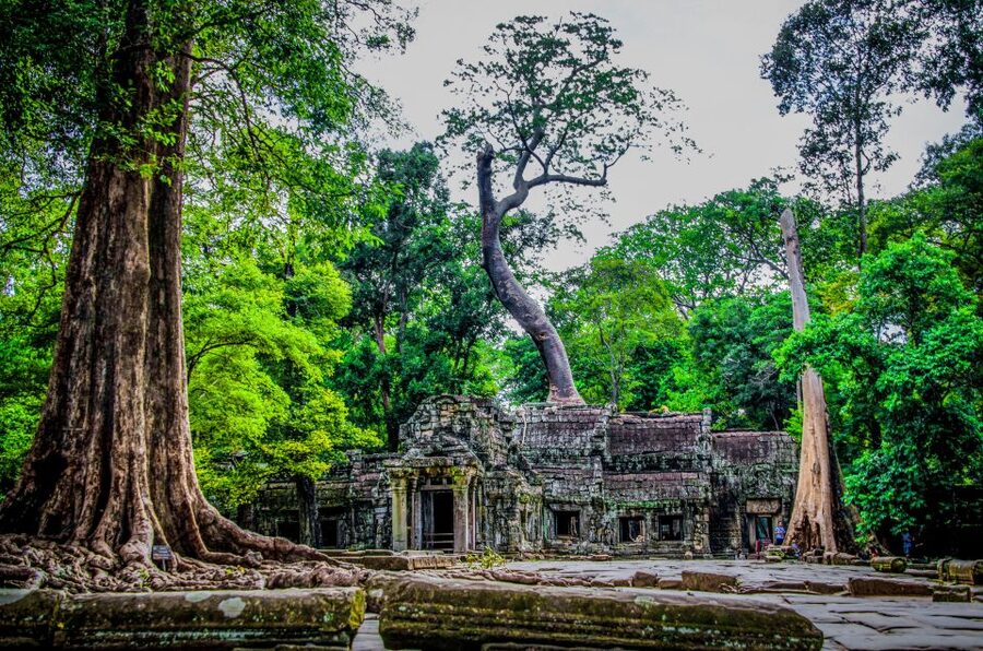 Seat-In-Coach: Small Circuit tour with Sunrise at Angkor Wat - What the small-group format really gives you