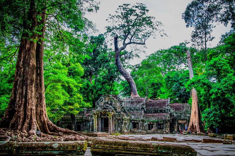 Seat-In-Coach: Small Circuit tour with Sunrise at Angkor Wat - Is $30 good value for Angkor?