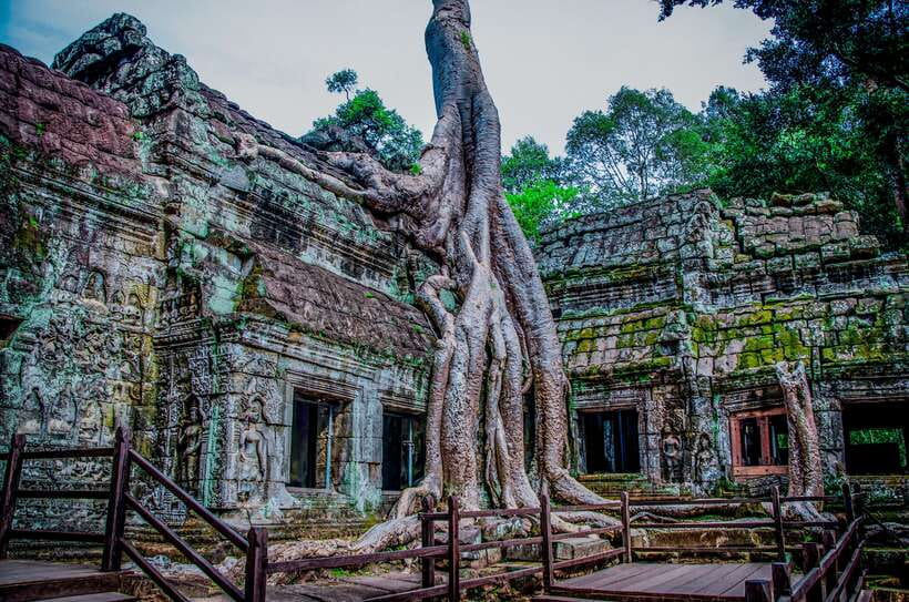 Seat-In-Coach: Small Circuit tour with Sunrise at Angkor Wat - Who should choose this Angkor morning tour?