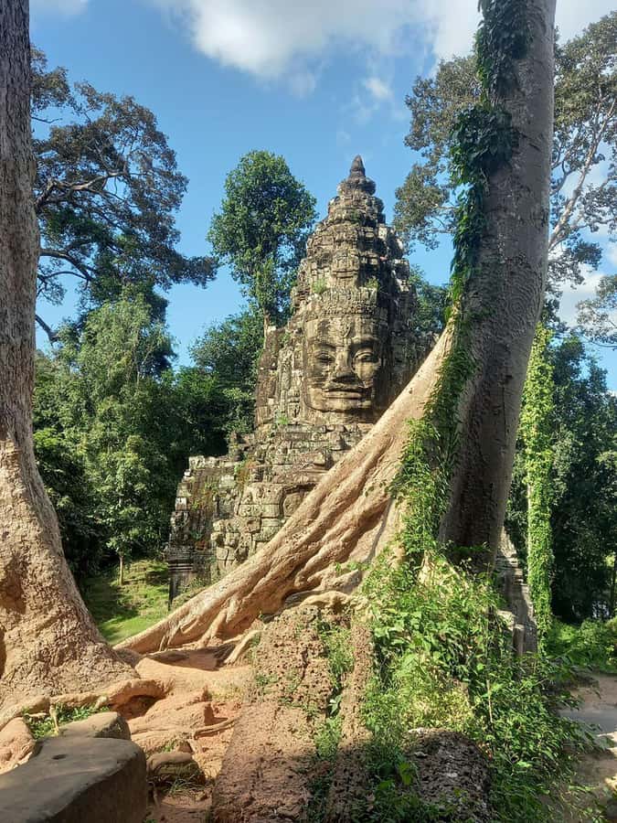 Shared day tour with Spanish-speaking guide at Angkor Temple. - Key points at a glance