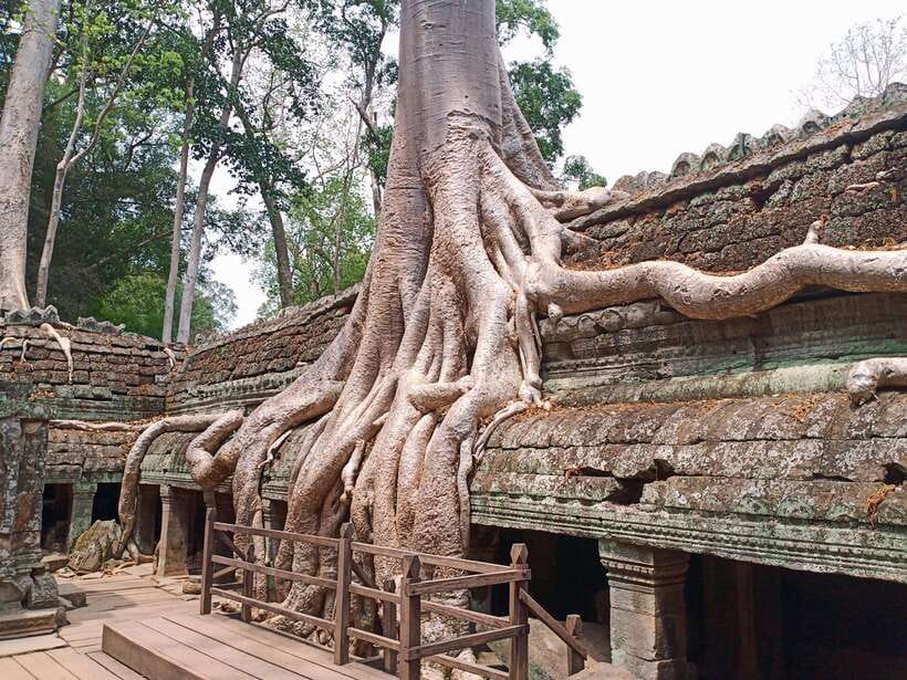 Sharing Trip to Angkor Temple with sunset - What the $19 price really buys you