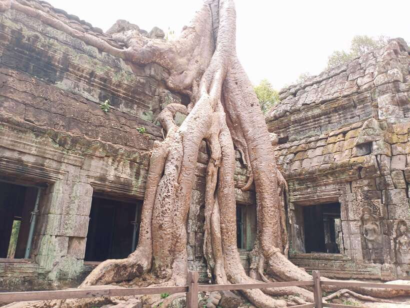 Sharing Trip to Angkor Temple with sunset - Baphuon, Phimeanakas, and the royal terraces