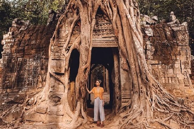 Siem Reap 2-Day Private Angkor Wat Tour with Sunrise - Ta Prohm delivers the jungle drama