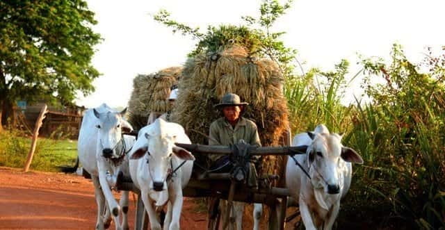 Siem Reap: 3-Hour Ancient Trails Motorbike Tour - Key things to know before you book