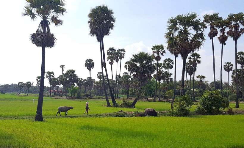 Siem Reap: 3-Hour Ancient Trails Motorbike Tour - Pradak market and meeting a monk