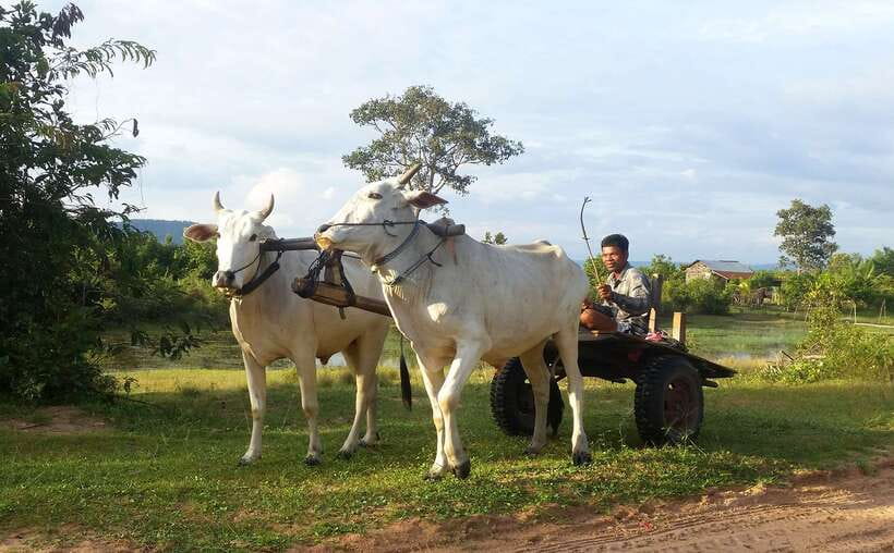Siem Reap: 6-Hour Easy Rider Motorbike Tour - The return ride and what six hours feels like