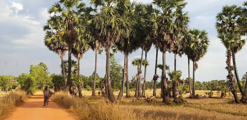 Siem Reap: 8-Hour Forgotten Treasures Motorbike Tour - Crossing a 1,000-year-old Angkor road bridge