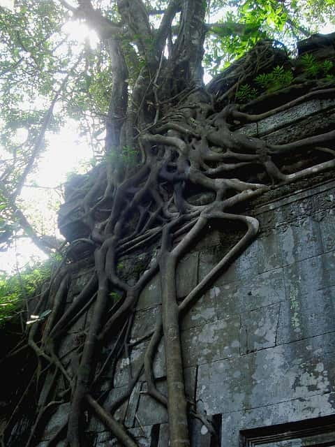 Siem Reap: 8-Hour Forgotten Treasures Motorbike Tour - Starting at 8:30 AM in Siem Reap
