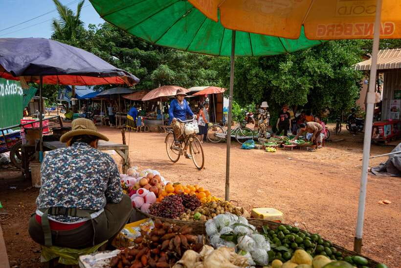 Siem Reap: Afternoon Cooking Class & Village Tour - Picking Vegetables and Visiting the Farms
