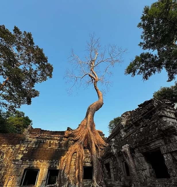 Siem Reap: Angkor 1-Day Private Tour with Sunset or Sunrise - Lunch at Srah Srang, with a necessary pause