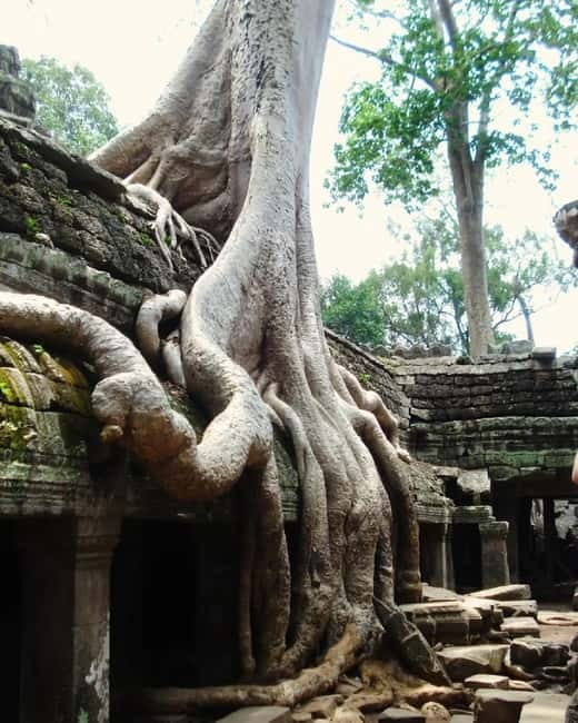 Siem Reap: Angkor 1-Day Private Tour with Sunset or Sunrise - Why two days is the smarter choice for many people