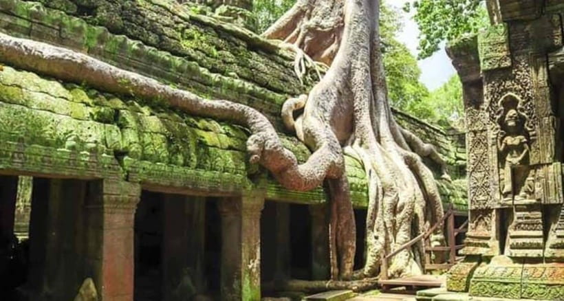 Siem Reap: Angkor and Ta Prohn Ancient Temples 3-Day Tour - Why three days works better than a rushed temple visit