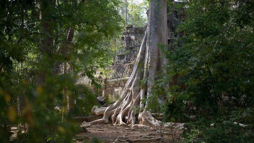 Siem Reap: Angkor Temples Off-Track Bicycle Tour - South Gate of Angkor Thom and the Bayon faces