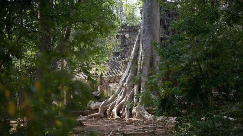 Siem Reap: Angkor Temples Off-Track Bicycle Tour - What the $65 price really covers