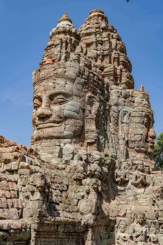 Siem Reap: Angkor Wat 2-Day Tour with Sunrise and Sunset - Ta Prohm gives the morning its drama