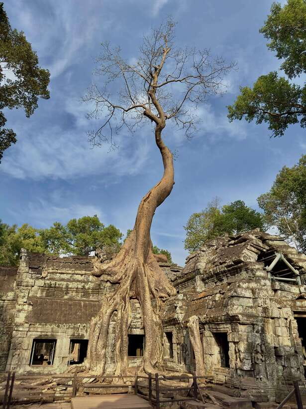 Siem Reap: Angkor Wat and Floating Village Day Tour - What the $89 price really covers