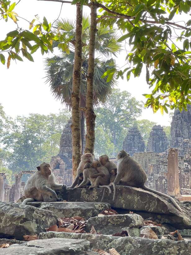 Siem Reap: Angkor Wat Private full Day Tour - Angkor Thom’s South Gate and the old city entrance