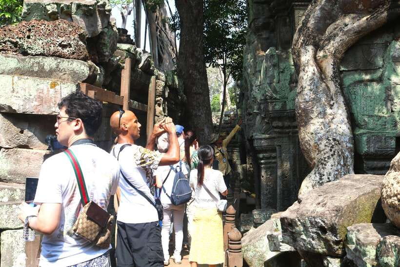 Siem Reap: Angkor Wat: Small-Group Sunrise Tour - Ta Prohm keeps its jungle-shrouded character