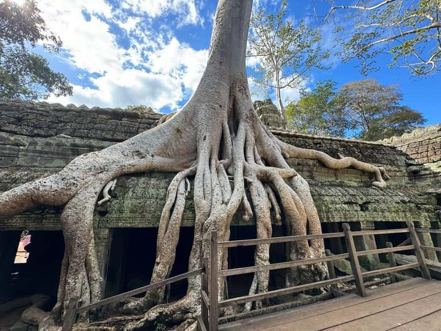Siem Reap: Angkor Wat Small Group Tour with Spanish Guide - Key points before you book