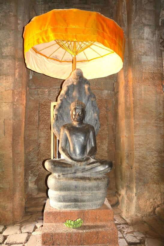 Siem Reap: Angkor Wat: Small-Group with Sunset Tour - Ta Prohm and the jungle-covered ruins