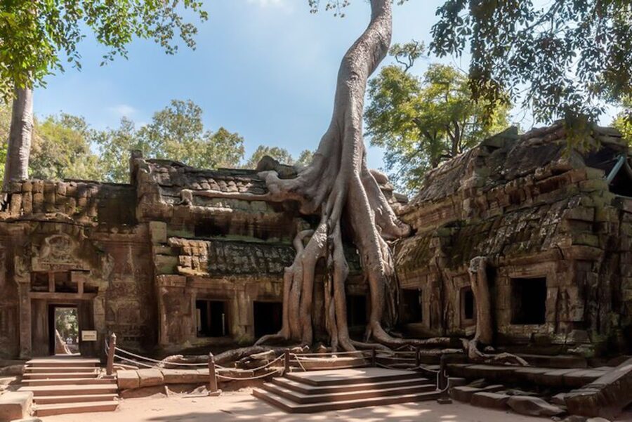 Siem Reap: Angkor Wat Sunrise and Full-Day Sightseeing Tour - Ta Prohm and the Tomb Raider connection