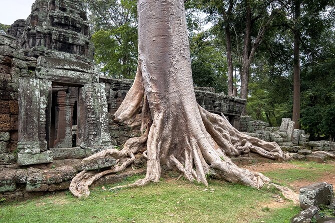 Siem Reap: Angkor Wat Sunrise Bike Tour & Jungle Breakfast - The forest breakfast after Angkor Wat