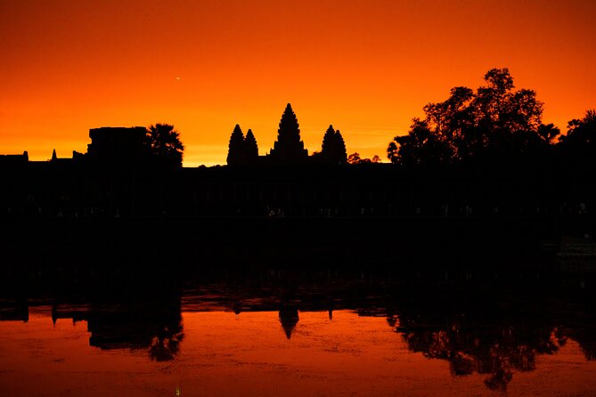 Siem Reap: Angkor Wat Sunrise & Explore Angkor Temples With Guide - Ta Prohm: jungle atmosphere and film fame