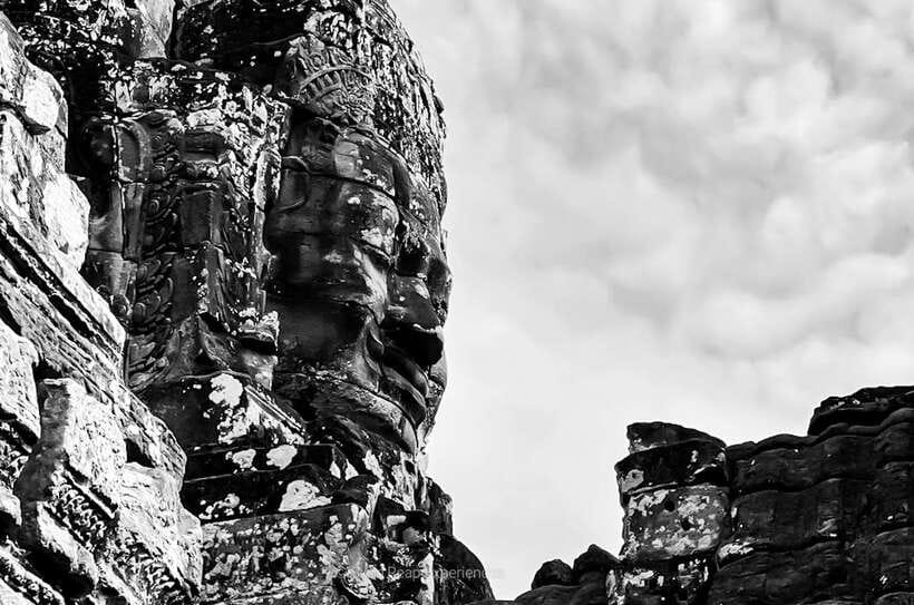 Siem Reap: Angkor Wat Sunrise or Sunset Guided Tour - Ta Prohm delivers the jungle-temple drama