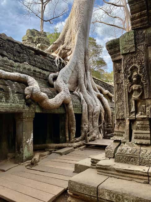 Siem Reap: Angkor Wat Tour with French-Speaking Guide - Who should choose this Angkor experience?