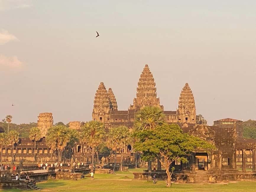 Siem Reap: Angkor Wat Tour with Italian-Speaking Guide - Day one: Ta Prohm and the jungle-wrapped temples