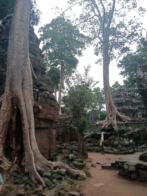 Siem Reap: Angkor Wat Tour with Italian-Speaking Guide - Banteay Srei and the finest stone carving