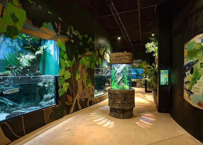 Siem Reap: Angkor Wildlife & Aquarium Entrance Ticket - Getting there on the free Siem Reap shuttle