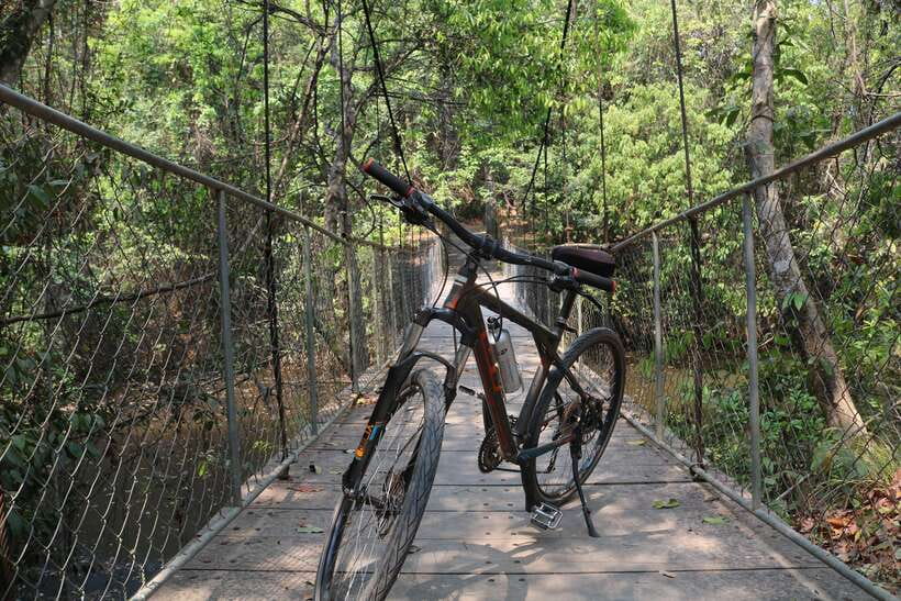 Siem Reap: Bike Rental - Why a rental bike changes your Angkor day