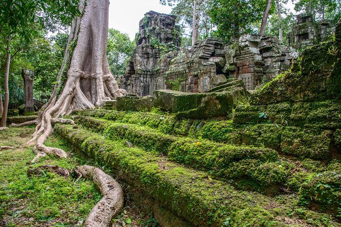 Siem Reap: Bike the Angkor Temples - Full-Day 30km Tour - Angkor Wat by bike in the morning light