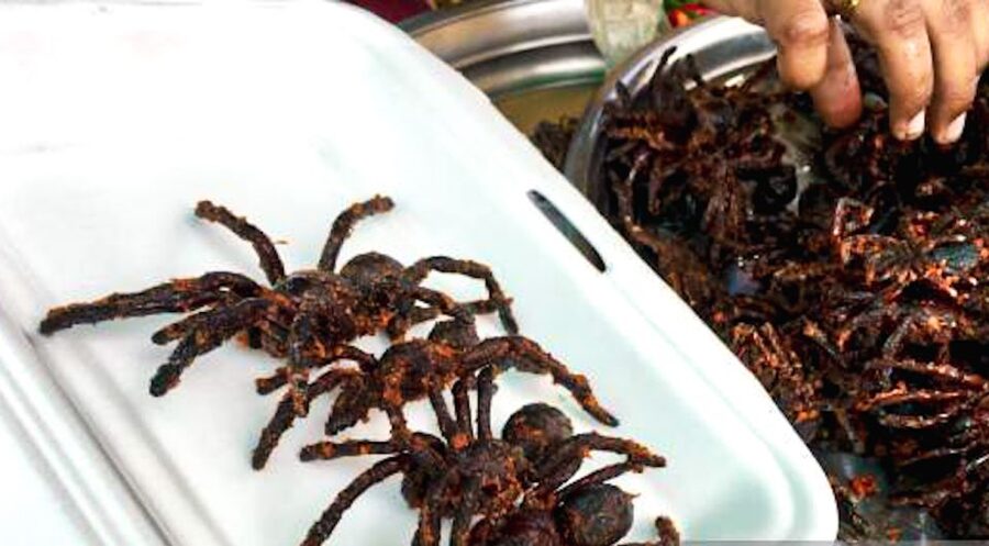 Siem Reap: Cambodia local street foods and local guide - Is $90 per person good value?