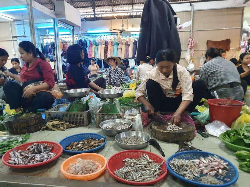 Siem Reap City Hidden Gems (Private Guided Tour) - What $39 gets you, and what it does not