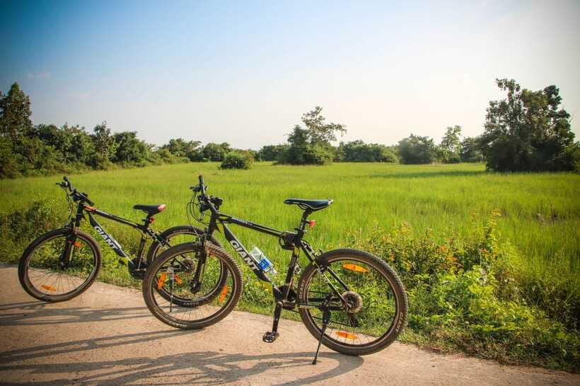 Siem Reap: Countryside Cycle and Local Village Life Tour - At the duck farm, daily work gets personal