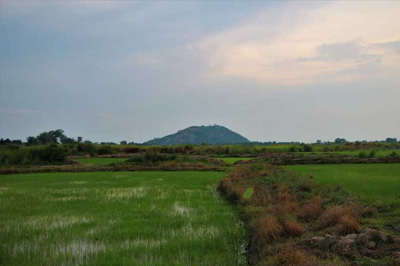 Siem Reap: Countryside Cycle and Local Village Life Tour - A lotus field sunset closes the ride