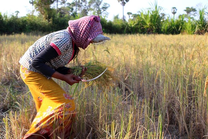 Siem Reap Countryside & Floating Village ( Meychrey) - Key points to know before booking