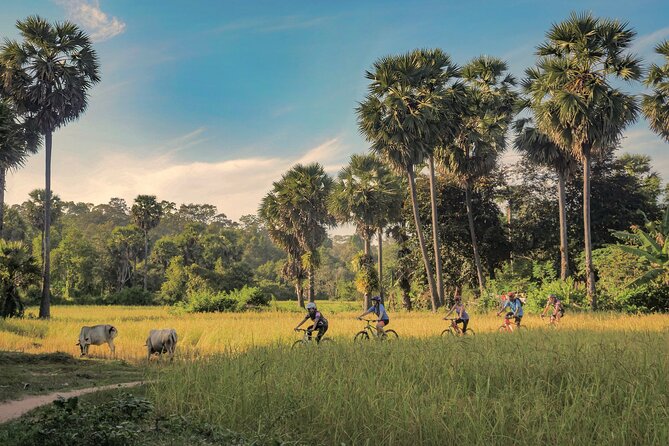 Siem Reap Countryside Guided Tour by Bike and E-Bike Private Tour - Key points to know before booking