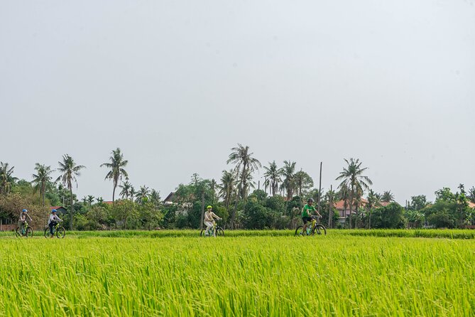 Siem Reap Countryside Sunset Bike Tour / E-Bike or Tuk Tuk - Key points to know before you book