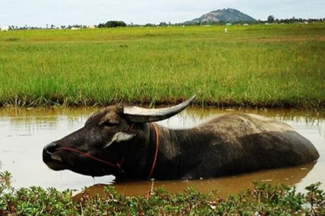 Siem Reap Countryside Sunset Jeep Tour - Half-day - John’s role and the private format