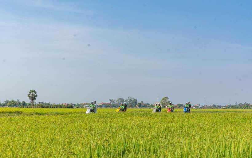 Siem Reap Countryside Sunset Vespa Tour or Tuk Tuk - The guide matters more than you might expect
